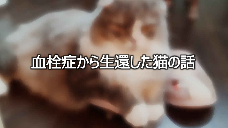 Thumbnail of post image 144